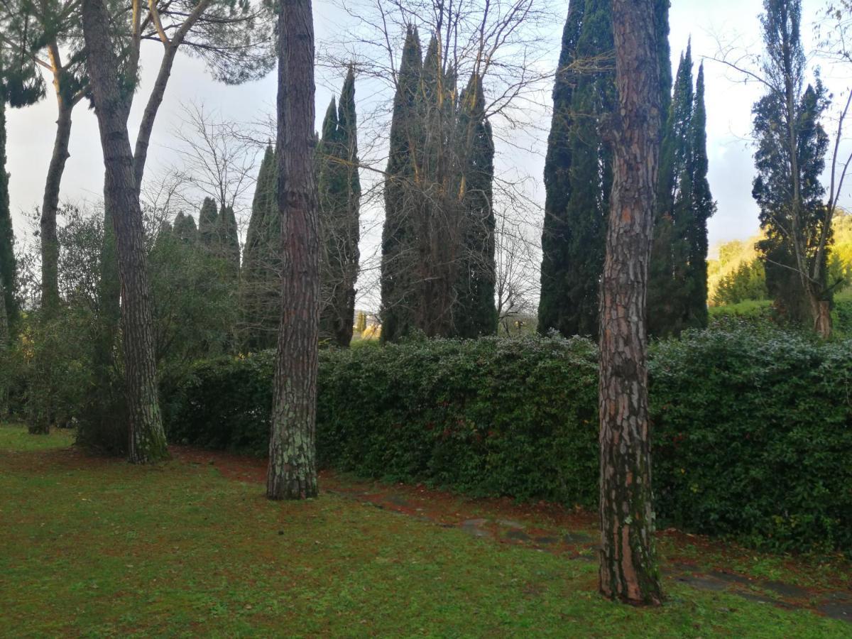 La Casa Di Duccio Con Parcheggio Gratuito Apartment Florence Exterior photo